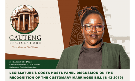 Recognition of Customary Marriages Bill [B12 -2019] Panel Discussion